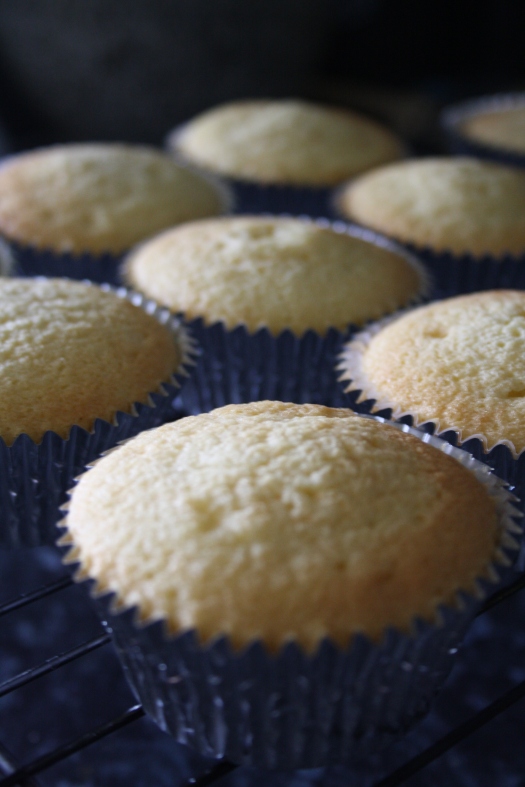 muffin cupcake patty cake